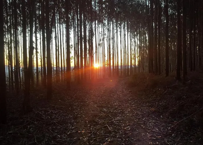 Apartamento Casa Rural Chapinheira *